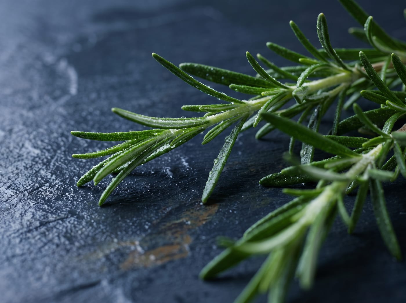 Rosemary